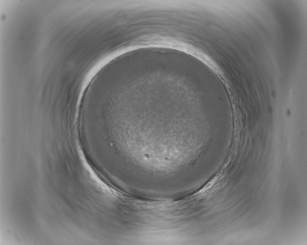 X0000066971536200603271155