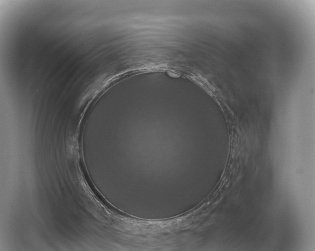 X0000066970002200603311501