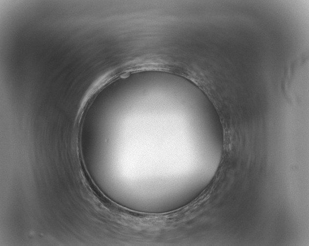 X0000066970004200603311501