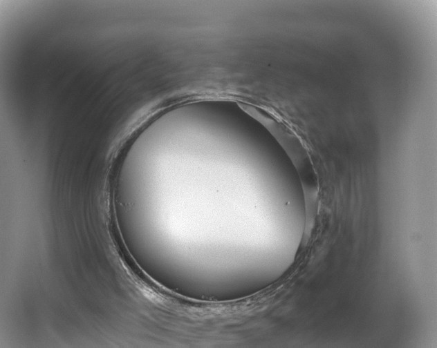 X0000066970005200603311501