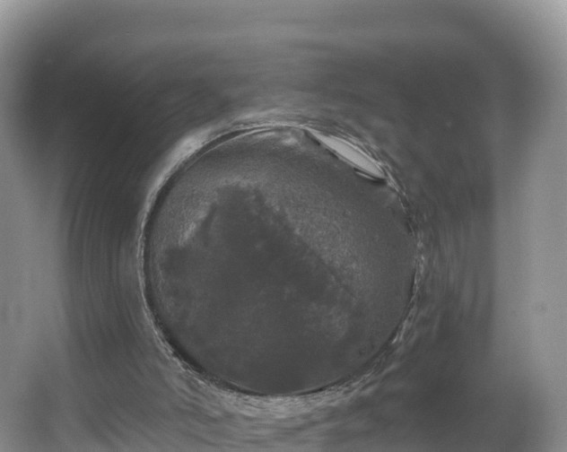 X0000066970006200603311501