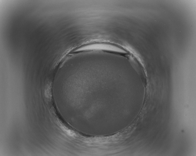 X0000066970009200603311501