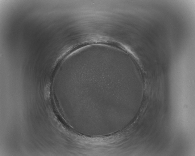 X0000066970010200603311501