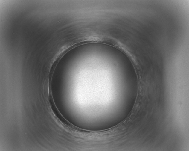 X0000066970011200603311501