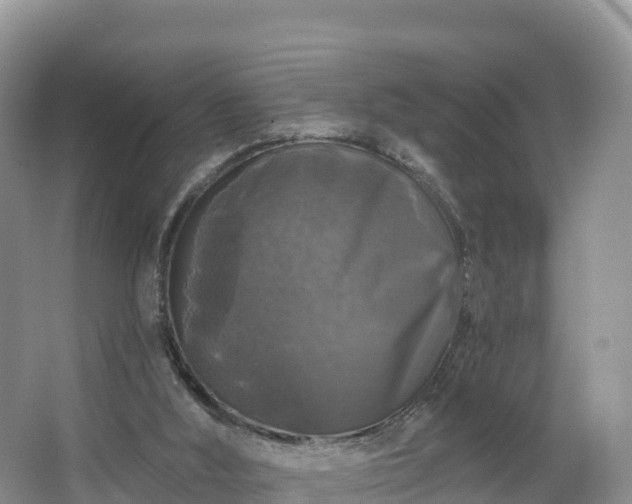 X0000066970012200603311501