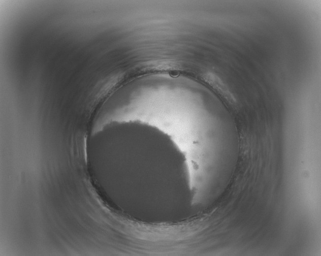 X0000066970014200603311501