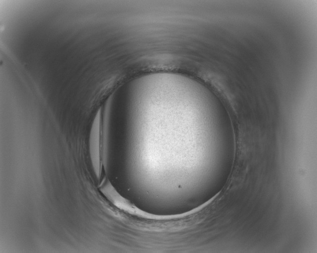 X0000066970017200603311501