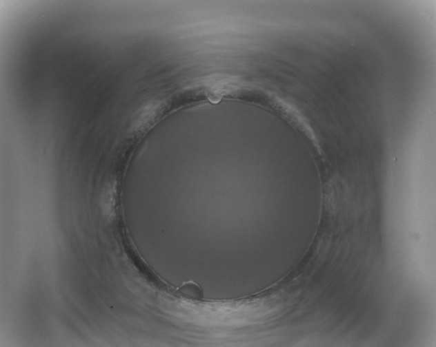 X0000066970018200603311501