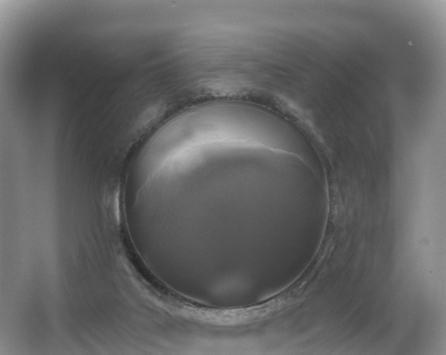 X0000066970019200603311501