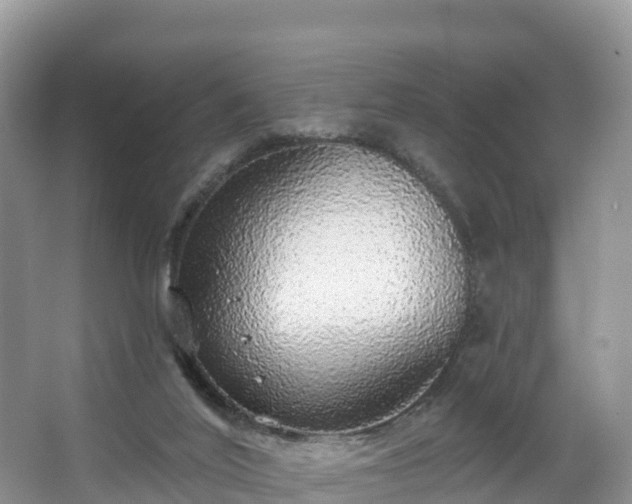 X0000066970020200603311501