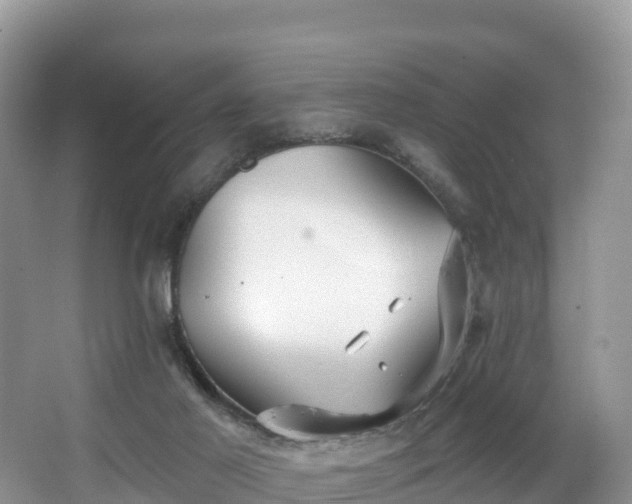 X0000066970021200603311501