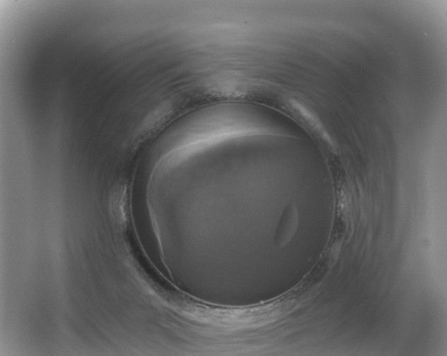 X0000066970023200603311501