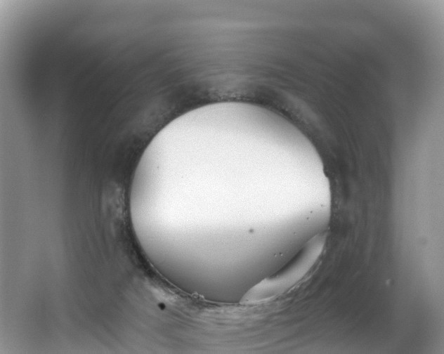 X0000066970025200603311501