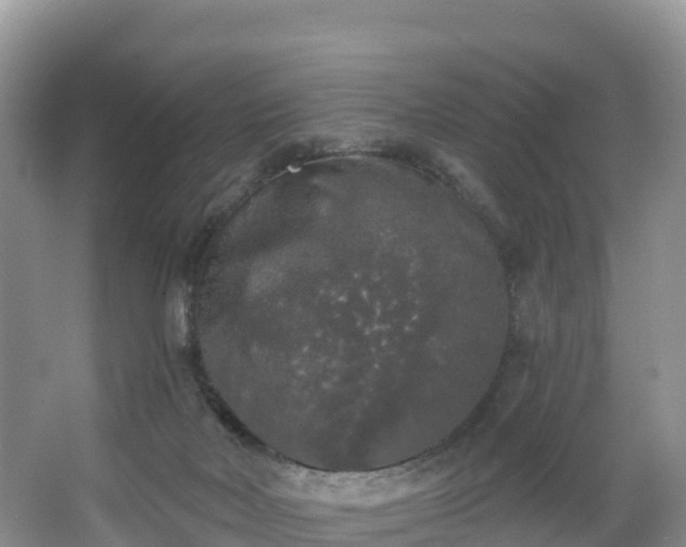 X0000066970026200603311501