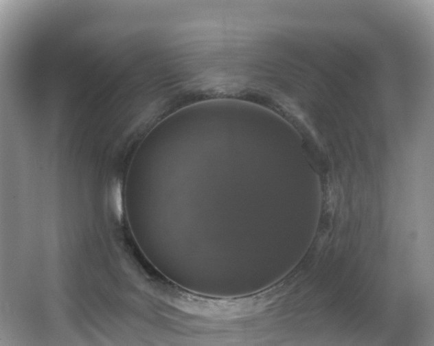 X0000066970027200603311501