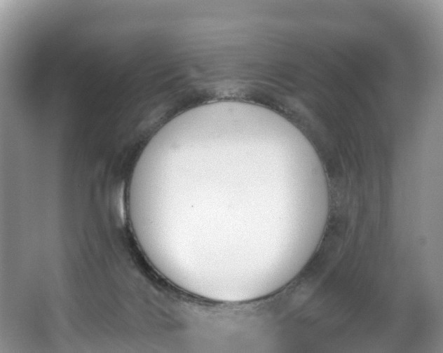 X0000066970028200603311501