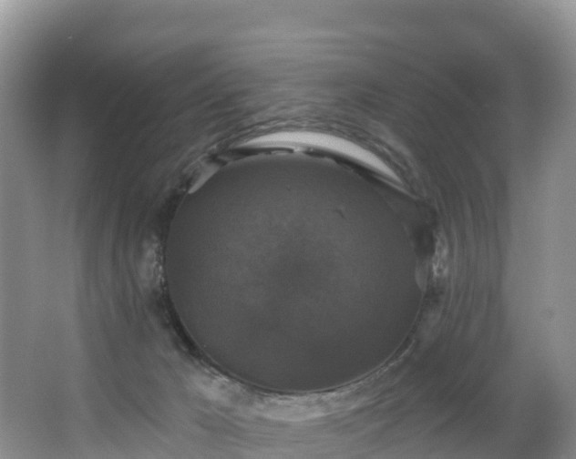 X0000066970029200603311500