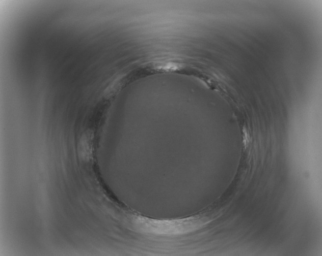 X0000066970030200603311500