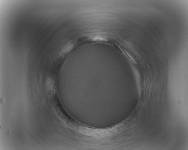 X0000066970031200603311500