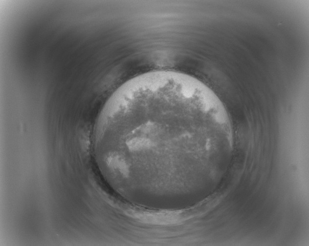 X0000066970032200603311500