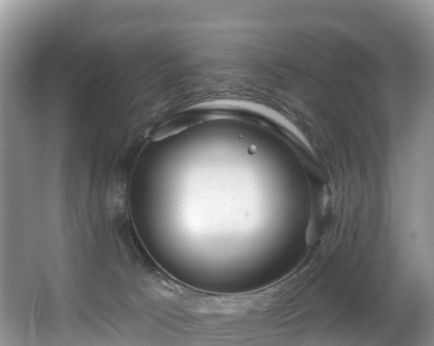 X0000066970033200603311500