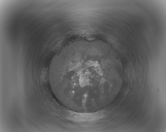 X0000066970034200603311500