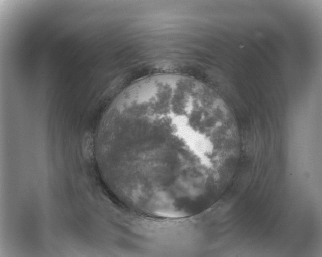 X0000066970036200603311500