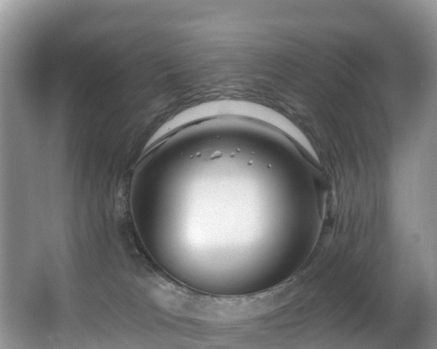 X0000066970037200603311500