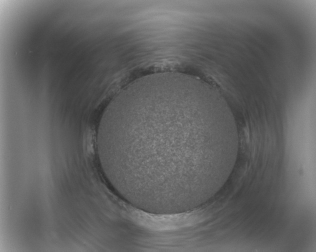 X0000066970038200603311500