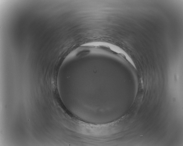 X0000066970039200603311500