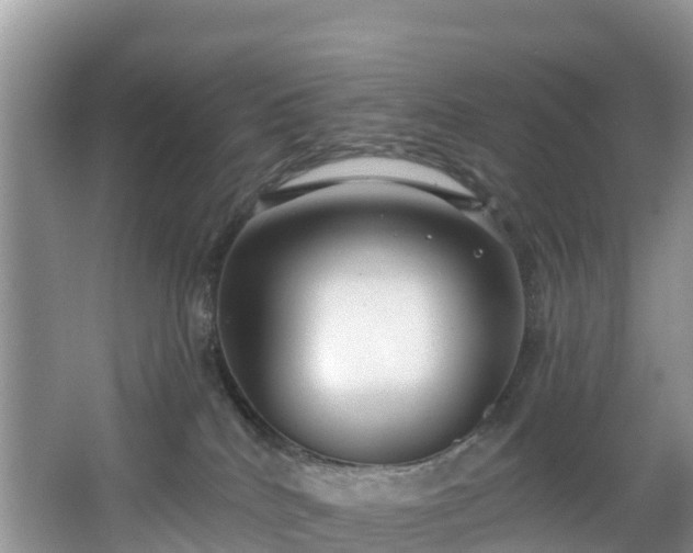 X0000066970040200603311500