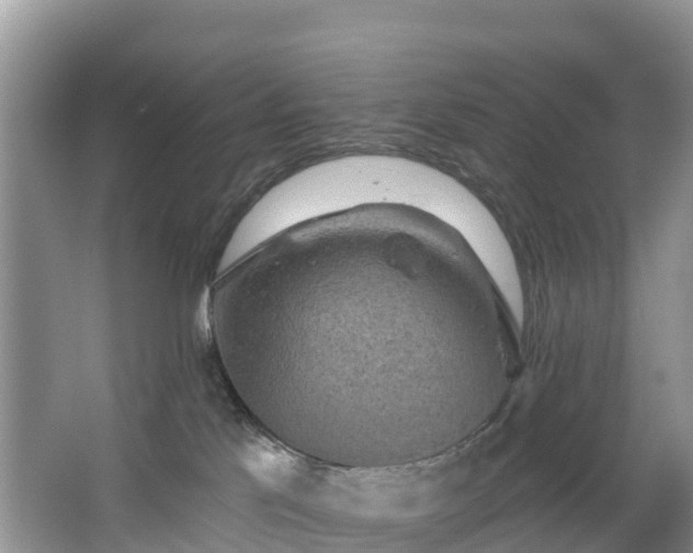 X0000066970041200603311500