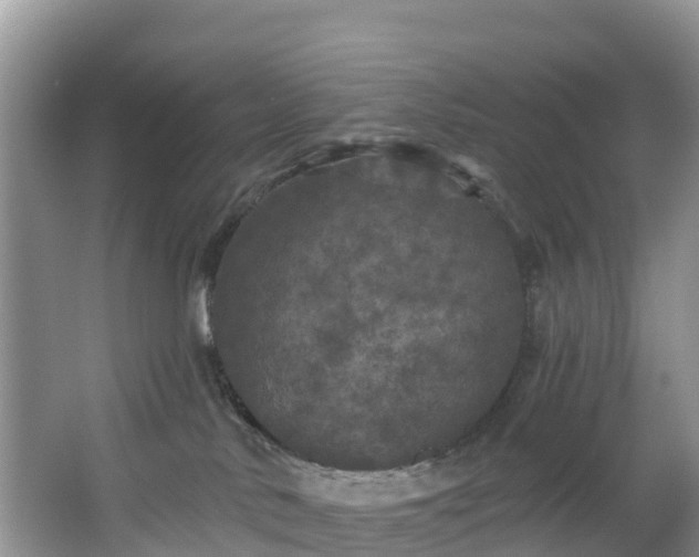 X0000066970042200603311500