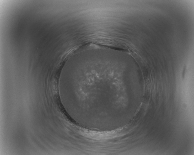 X0000066970043200603311500