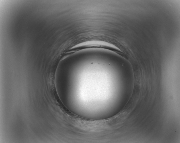 X0000066970044200603311500