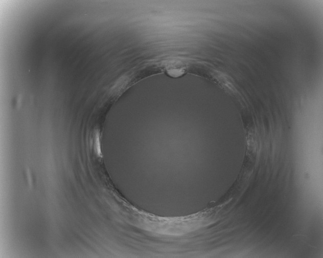 X0000066970046200603311500