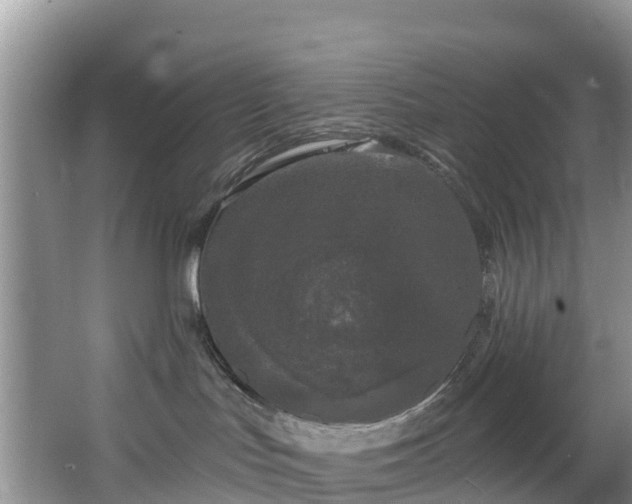 X0000066970047200603311500