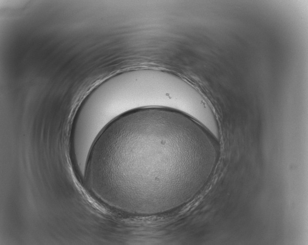 X0000066970049200603311459