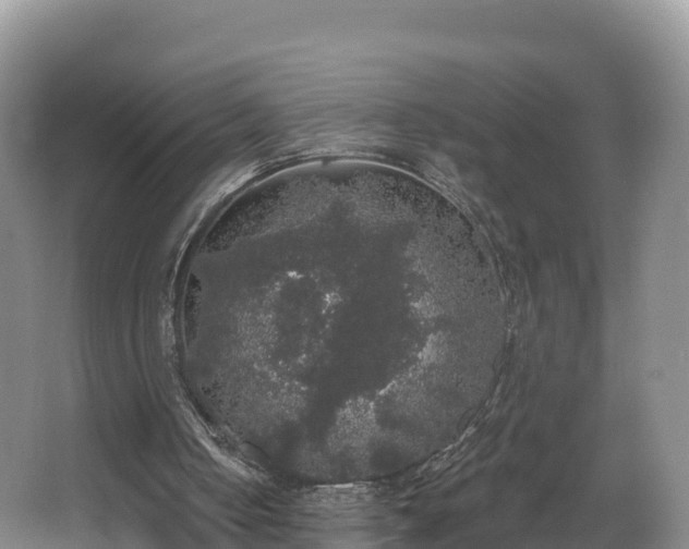 X0000066970050200603311459