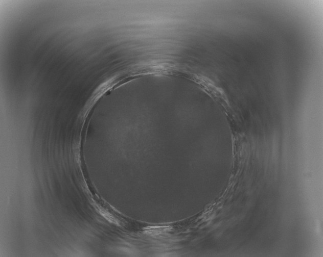 X0000066970051200603311459