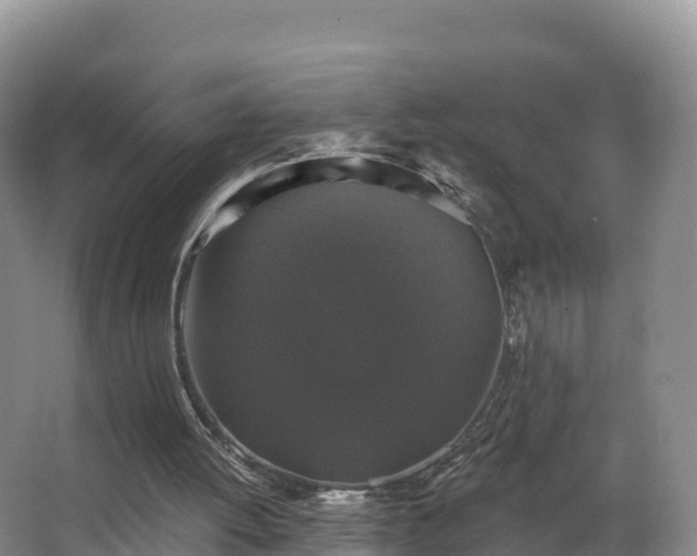 X0000066970052200603311459