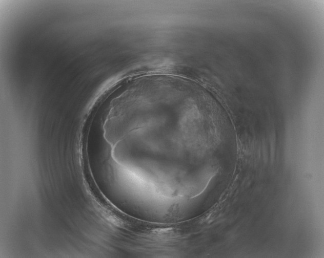 X0000066970054200603311459