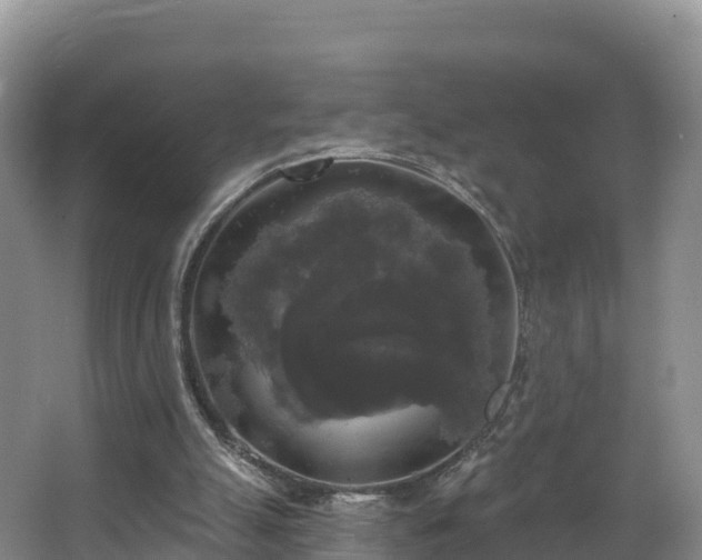 X0000066970055200603311459