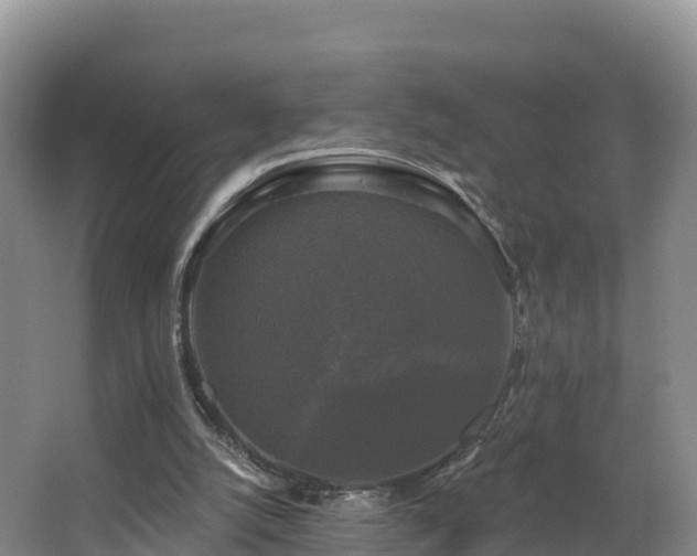 X0000066970056200603311459