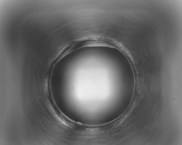 X0000066970057200603311459