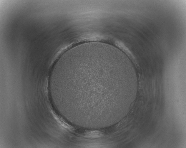 X0000066970058200603311500