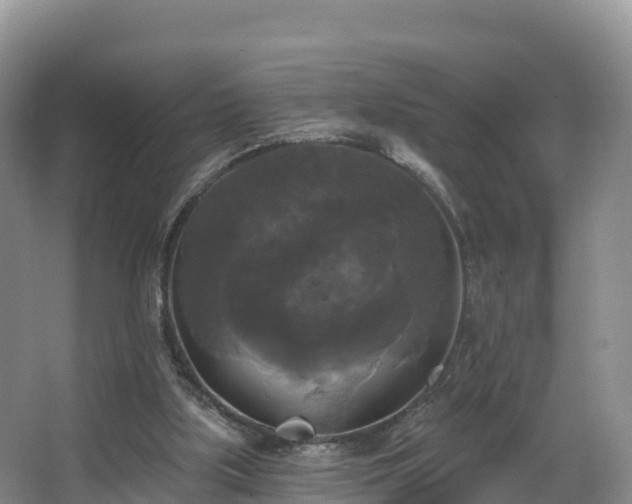 X0000066970059200603311500