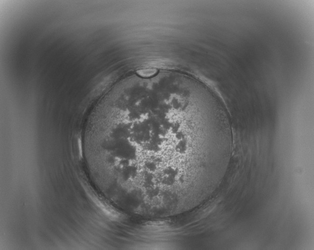 X0000066970061200603311500