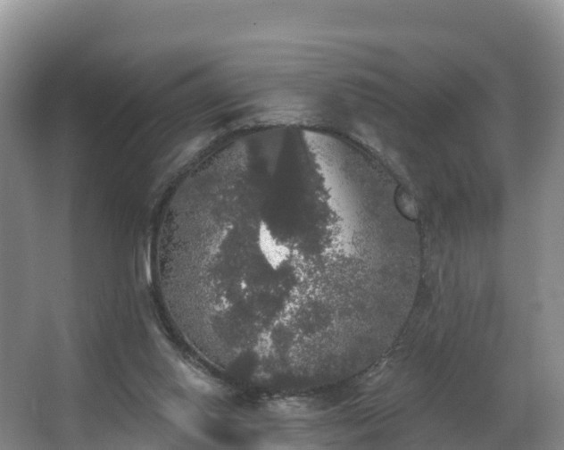 X0000066970062200603311500