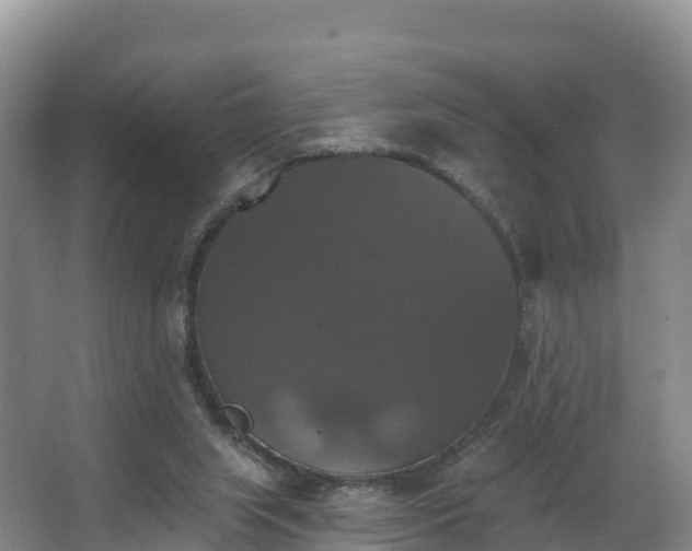 X0000066970063200603311500